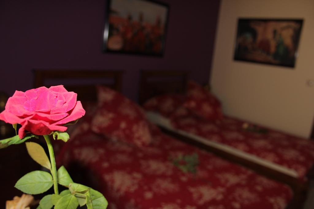 Riad Mimosa เฟส ภายนอก รูปภาพ